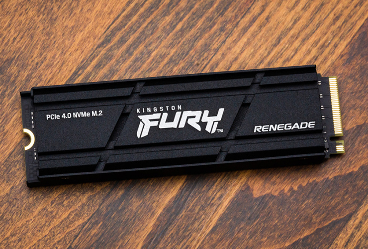 Kingston FURY Renegade SSD Card